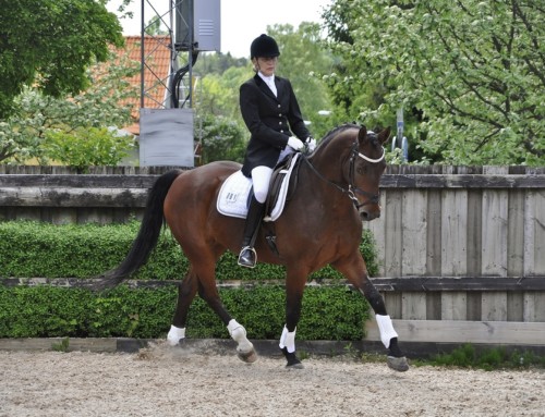 Grattis! Ingela Söder/Alonso femteplacerade i lektionshästmästerskapet i dressyr