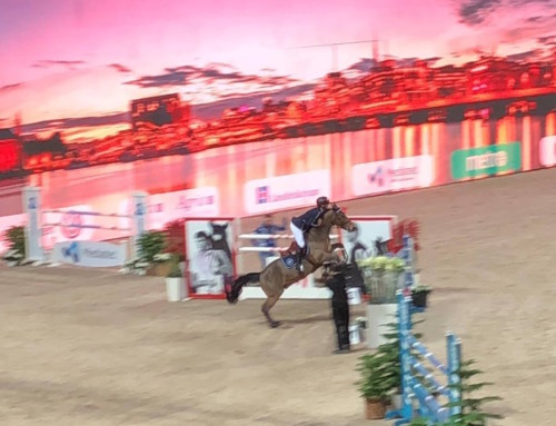 Besök på Sweden International Horse Show med klubbens ungdomar mellan 15 och 25