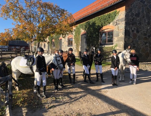 Resultat Ponnycupen Dressyr 13 oktober