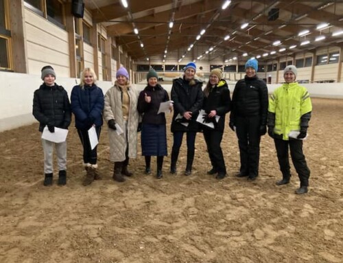 Resultat klubbdressyr 12 februari