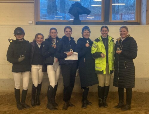 Resultat klubbdressyr 19 mars