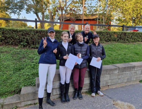 Resultat klubbdressyr 24 september