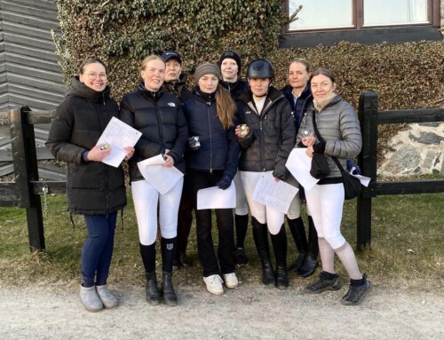 Resultat klubbdressyr 23 mars