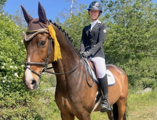 Fia & Fille – levererade ännu en gång på dressyrbanorna!