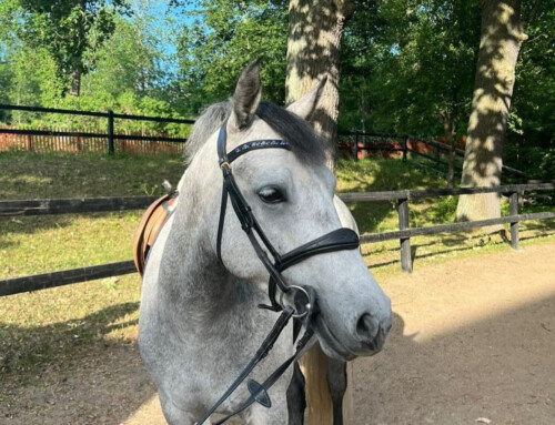 Pay & Ride i Södertälje