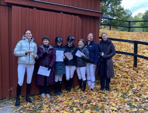Resultat klubbdressyr 19 november