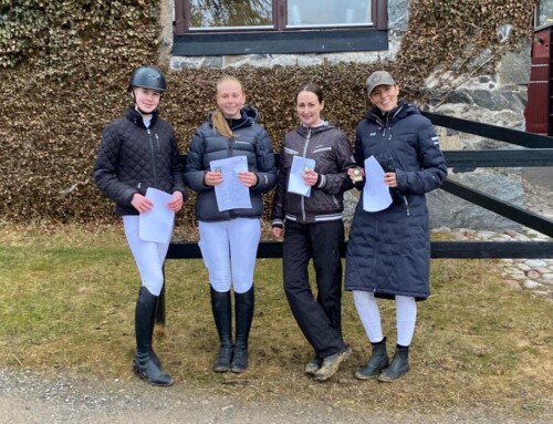 Resultat klubbdressyr 15 mars